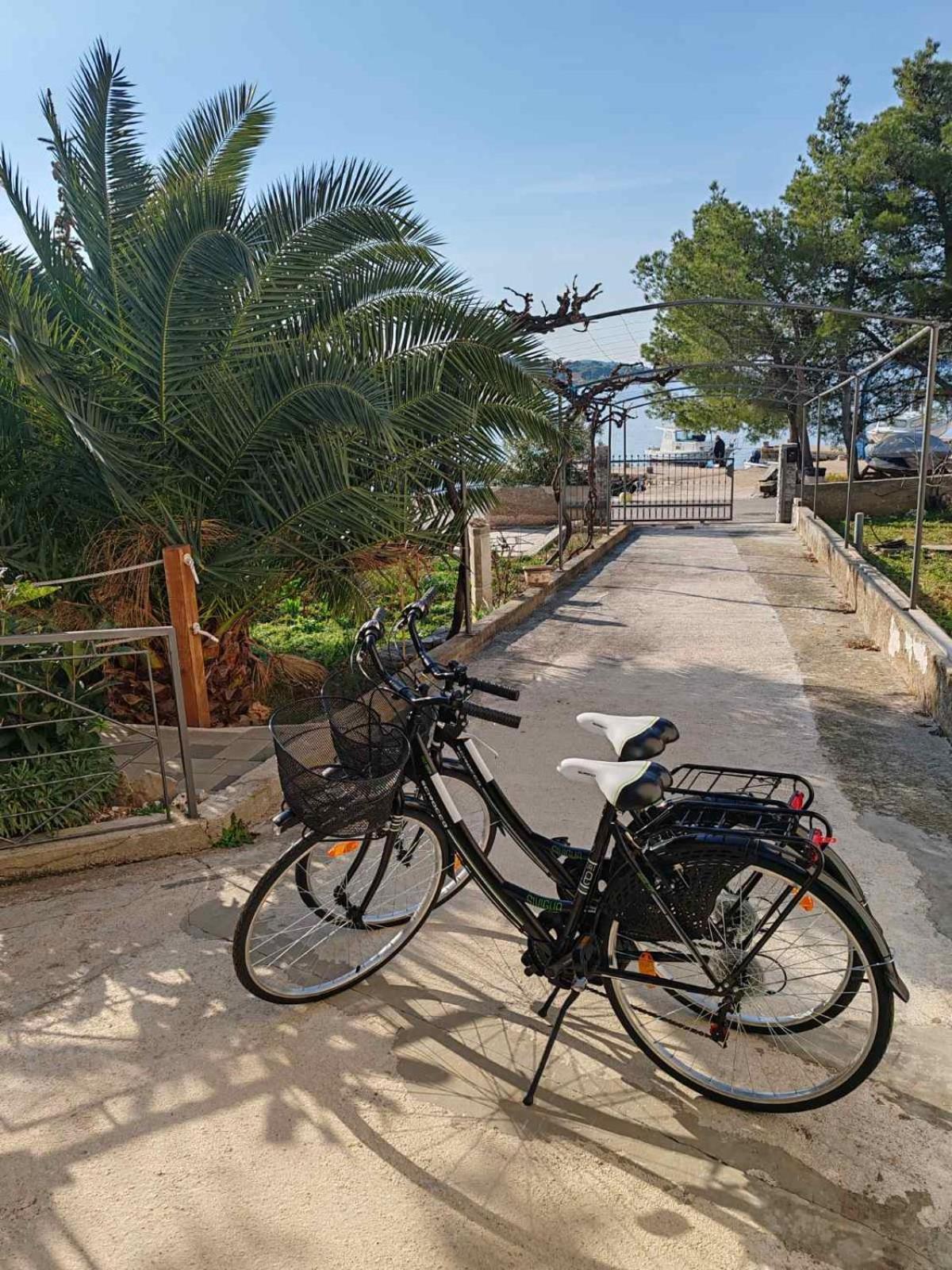 Apartments Alisa Brodarica  Zewnętrze zdjęcie